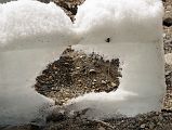 16 PAC-MAN Penitente On The Gasherbrum North Glacier In China 